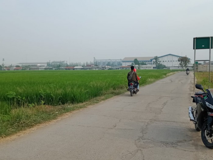 Tanah Sawah Dijual di Buni Asih Permai Cikarang